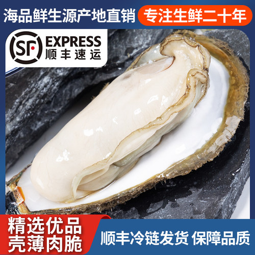 湛江生蚝鲜活带壳10斤