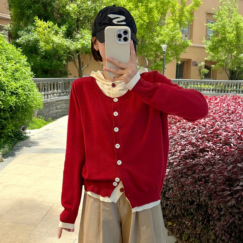 2025秋冬新款时尚显瘦百搭针织衫