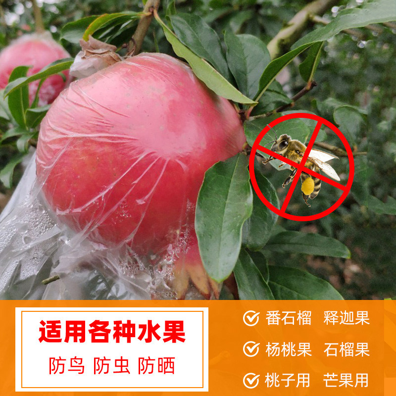 大号石榴杨桃防虫袋套袋防虫专用袋水果套袋促生长透明保护薄膜袋
