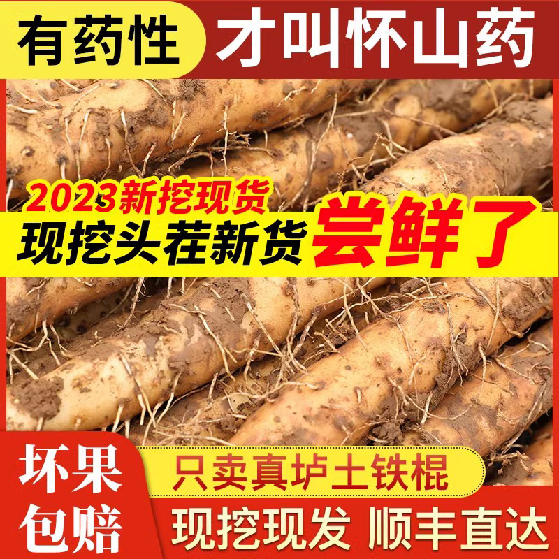 正宗垆土铁棍山药河南焦作温县怀山淮山药3铁杆新鲜5斤食品土特产 水产肉类/新鲜蔬果/熟食 新鲜山药 原图主图