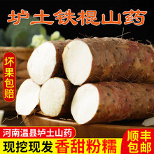 正宗河南焦作温县垆土铁棍怀山药新鲜5斤装 整箱铁杆淮山药土特产
