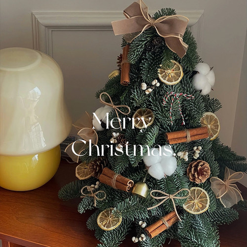 迷你家用诺贝松圣诞树