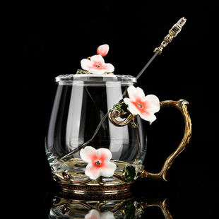 珐琅彩水杯家用玻璃咖啡杯创意轻奢办公室花茶杯女教师礼品套装