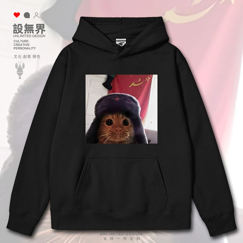 大绵帽橘猫卖萌大眼睛小众设卫衣