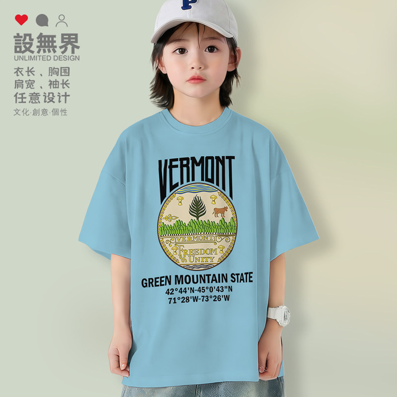 美国洲徽Vermont佛蒙特州落肩T恤图片