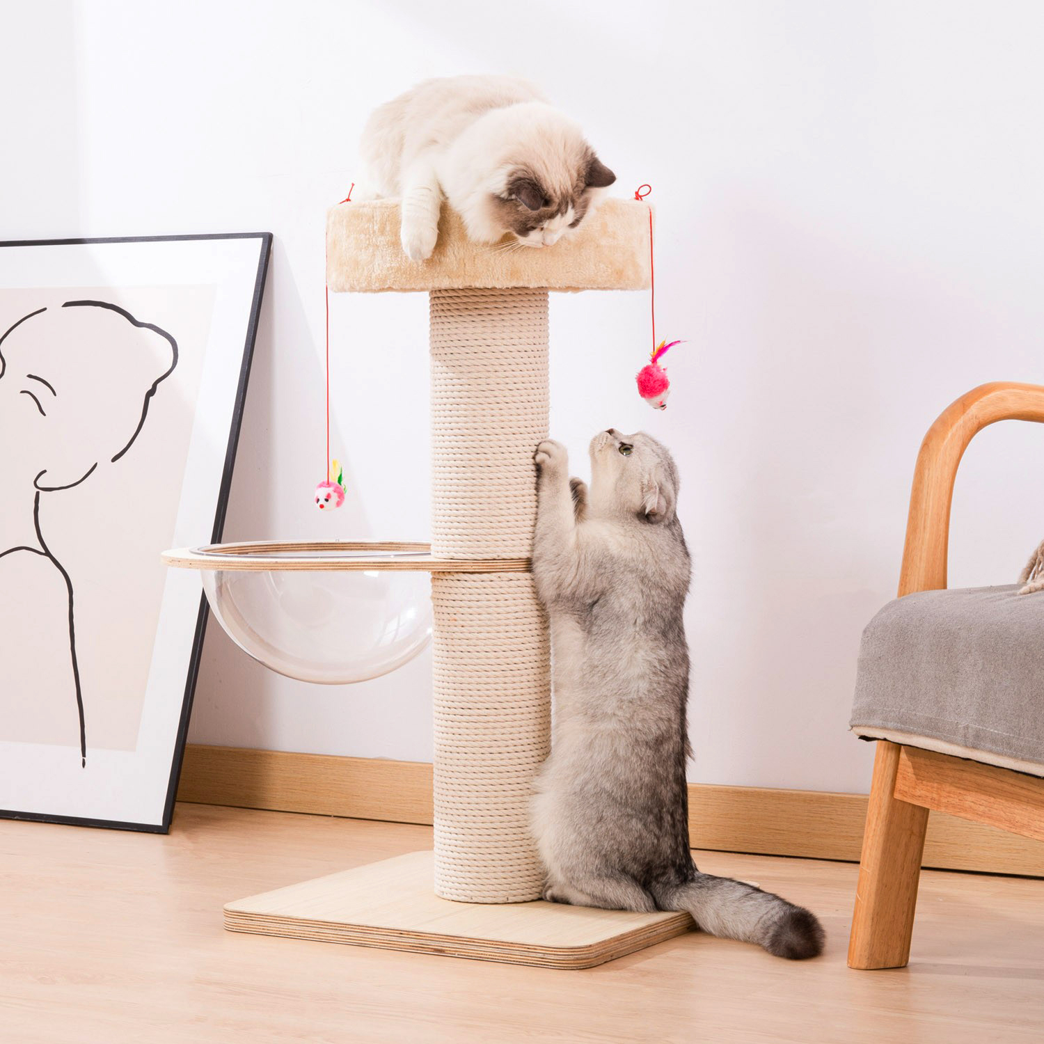 猫爬架太空舱猫窝猫树一体大型