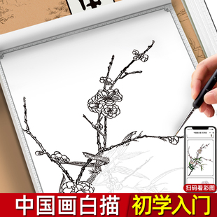 中国画白描临摹画册儿童绘画画画控笔训练字帖漫画入门描摹本初学者自学零基础国风山水花草工笔画底稿素描临摹手绘描红本练习教材