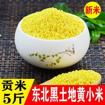 朝阳特产黄小米特级食用有机小黄米新米脂煮粥婴儿月子米5斤特价