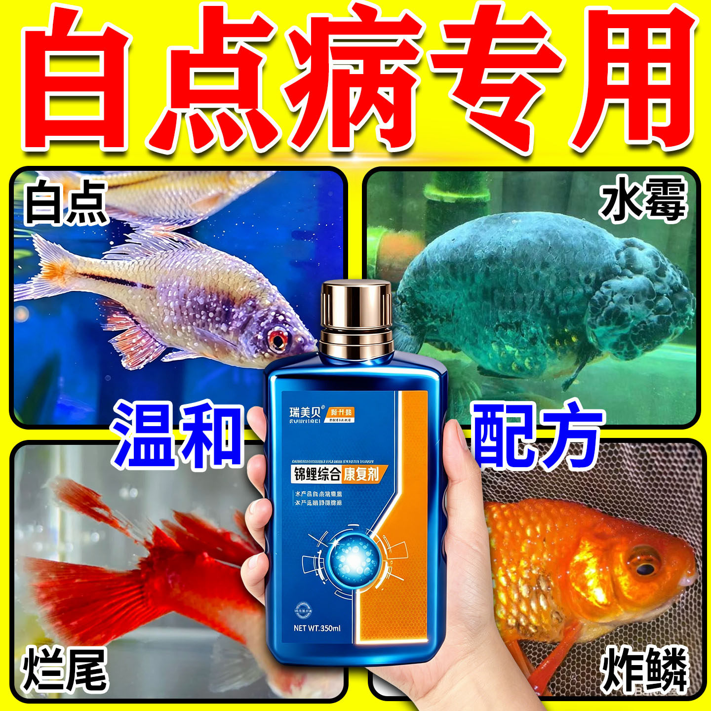 白点净小瓜虫专用鱼白点病药锦鲤金鱼白毛烂身烂尾万消毒能杀菌药