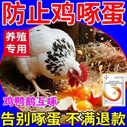 【告别鸡啄蛋】防鸡吃蛋的药