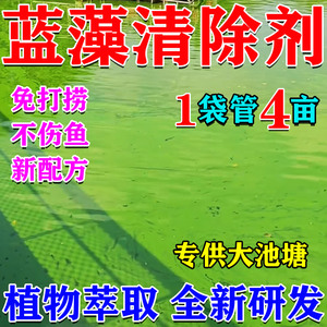 蓝藻净蓝藻分解酶池塘清除速灭