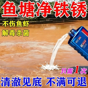 鱼塘除铁锈水裸甲藻鱼塘池塘变清改善水质净水剂改低解毒不伤鱼虾