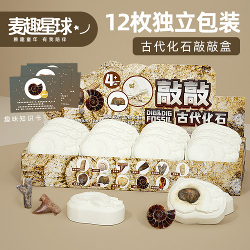 儿童古代化石收藏考古玩具