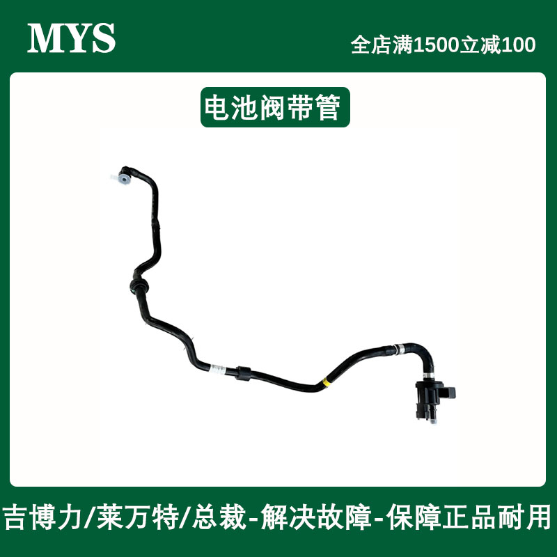 other/其他碳罐电磁阀燃油蒸汽诊