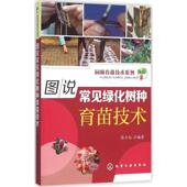 规划 图说常见绿化树种育苗技术 自然条件 正版 播种育苗 播种苗 常规育苗方法 处理 绿化树种 管理 园林苗圃 种子 苗圃地