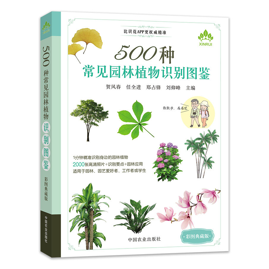 彩图典藏版 景观园林植物图鉴 常见园林树木识别 植物分类与应用 花草