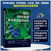 蓝莓栽培与利用 图说特种果树优质高效栽培技术 育苗与建园 果实采收后管理 软枣猕猴桃栽培与利用等作物种植参考 果实膨大期管理