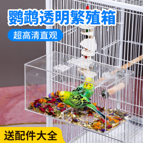 鹦鹉繁殖箱玄凤牡丹虎皮亚克力
