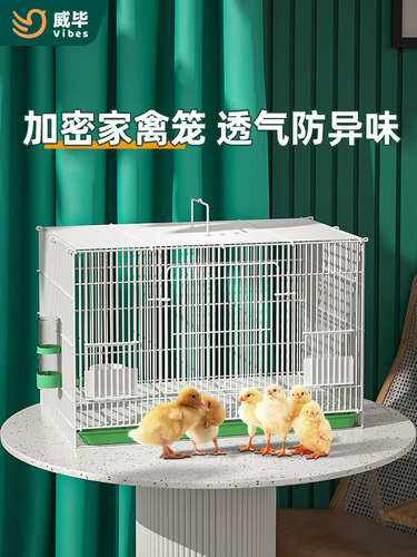 采购产品鸡笼，鸭笼，孵蛋，家庭户外鸡笼，芦丁，鸡鸭，鹌鹑，鸡