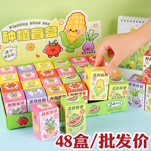 开学礼物学生奖励小礼品实用diy种植植物盲盒幼儿园儿童活动奖品