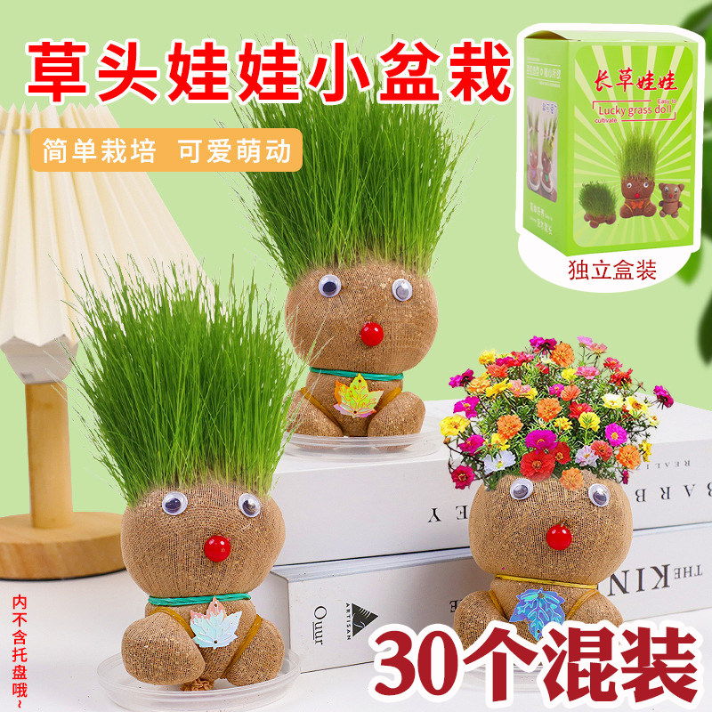儿童DIY种植小盆栽创意办公室桌面绿植花卉幼儿园伴手礼学生奖品