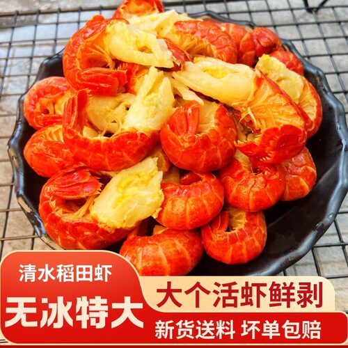 特大无冰龙虾尾新货送料包