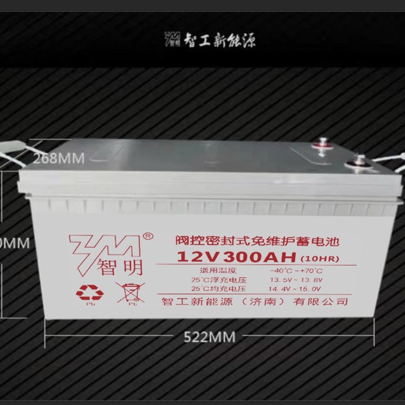 太阳能胶体蓄电池12v100ah家用A大容量200ah光伏监控路灯ups电源