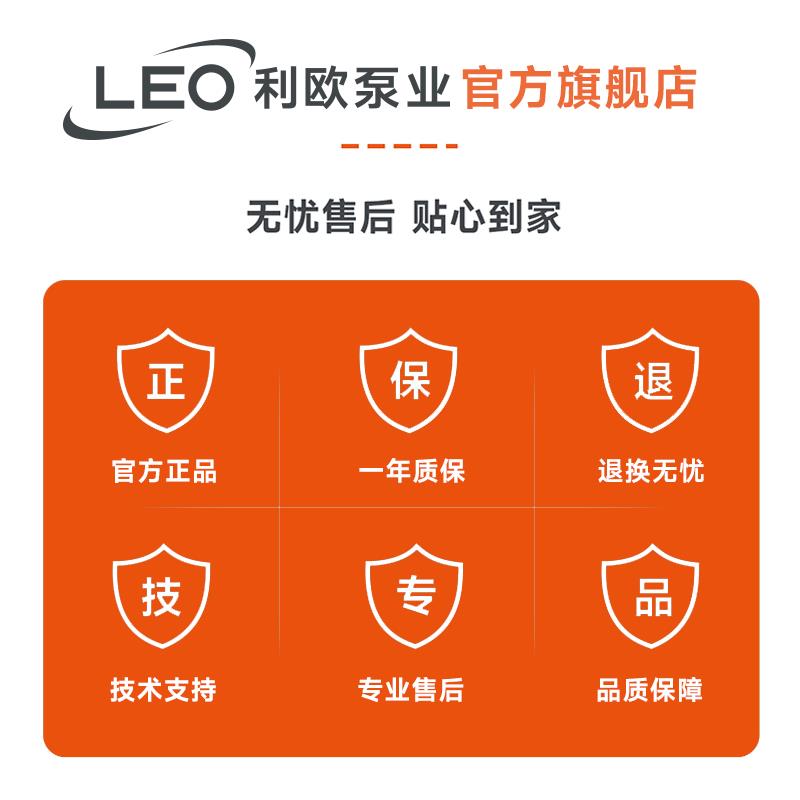 利欧家用增压泵微型旋涡