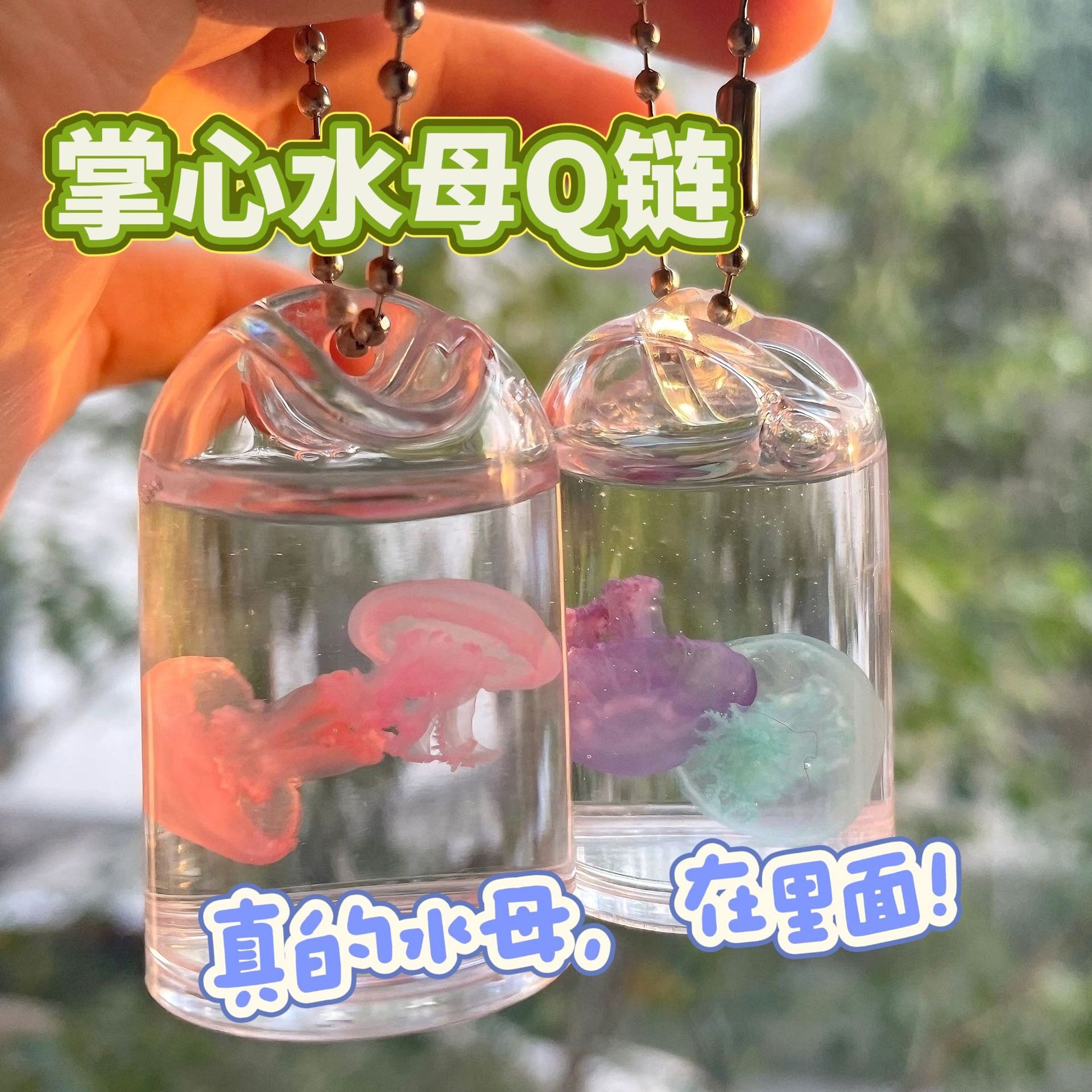 真水母标本挂件许愿瓶吊坠