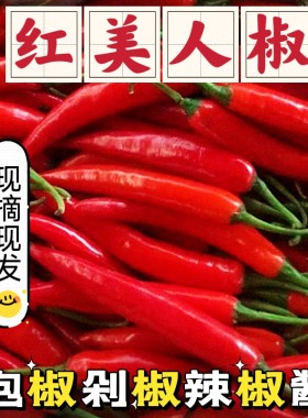 美人椒现摘5斤微辣农家新鲜辣椒鲜红辣椒似二荆条泡椒辣椒酱剁椒
