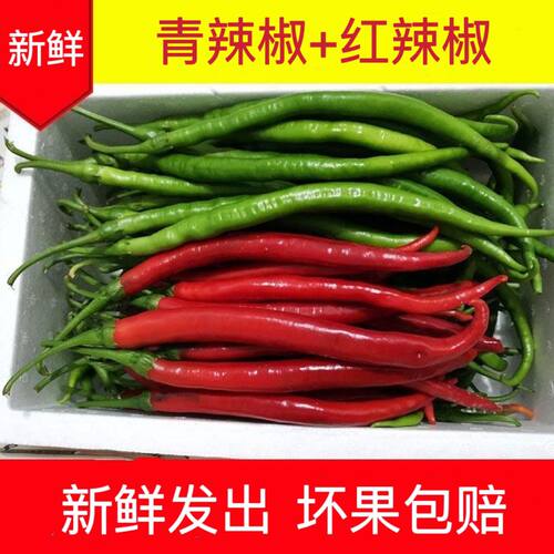 贵州新鲜青红双色椒二荆条红线椒青辣椒青线椒薄皮红辣椒线椒香辣