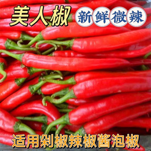 微辣现摘红辣椒新鲜可剁椒美人椒