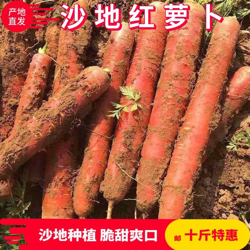 陕西沙地水果红萝卜红皮红心带泥新鲜脆甜沙窝生吃即食胡萝卜蔬菜,水产肉类/新鲜蔬果/熟食,萝卜/胡萝卜,淘宝优惠券,粉丝福利购,淘宝优惠卷