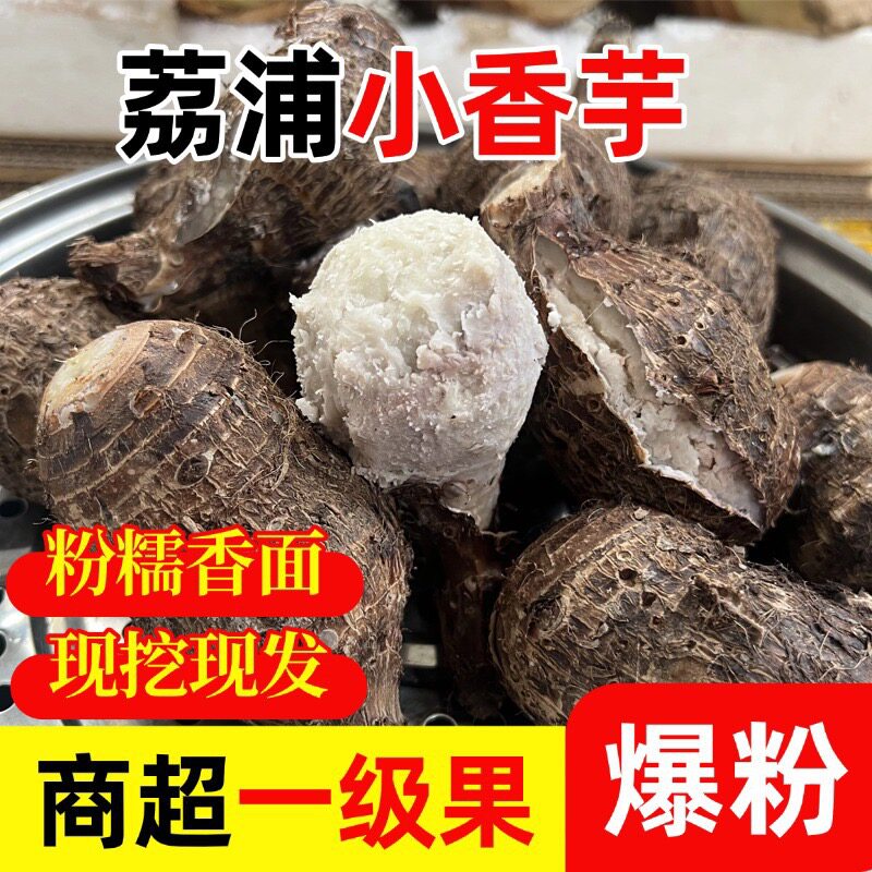 荔浦芋头仔新鲜现挖小香芋广西特产槟榔芋艿红芽芋子蒸煮食用原料
