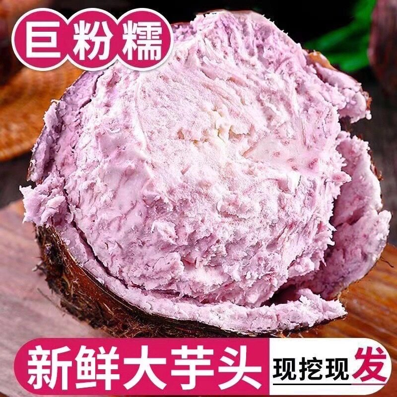 正宗广西桂林大芋头新鲜蔬粉香软糯荔浦新鲜芋头新鲜现挖广西特产