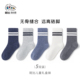 斑比男童袜子春秋款 儿童无骨中筒袜 棉袜大童男孩青少年学生秋冬季