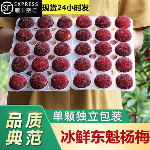【正宗9A级特甜】24小时顺丰次日东魁大杨梅冰鲜现发水果冰冻泡酒