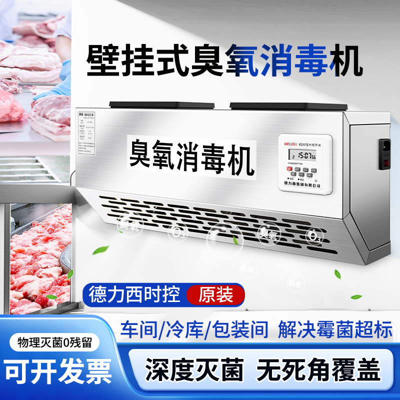 304壁挂式智能臭氧发生器除臭消毒机食品厂车间垃圾房商用杀菌