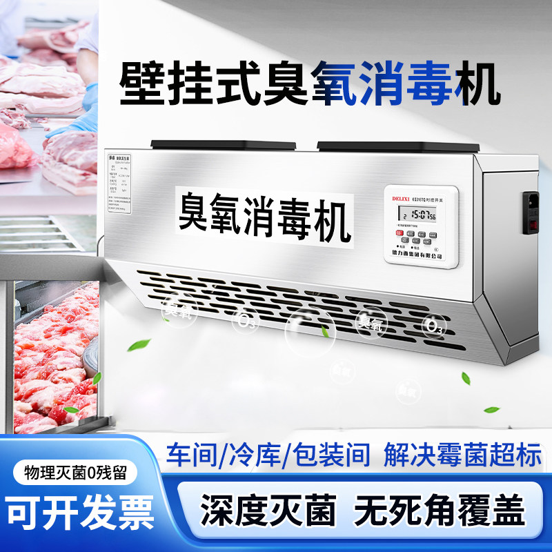 304壁挂式智能臭氧发生器除臭消毒机食品厂车间垃圾房商用杀菌
