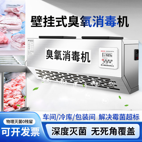 304壁挂式智能臭氧发生器除臭消毒机食品厂车间垃圾房商用杀菌