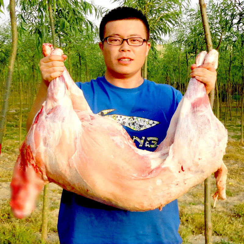 羊肉新鲜羊排羊腿羊蝎子整羊