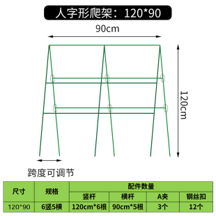 促阳台菜园种菜蔬菜爬藤架子豆角架杆黄瓜支架支撑杆攀爬架园艺花