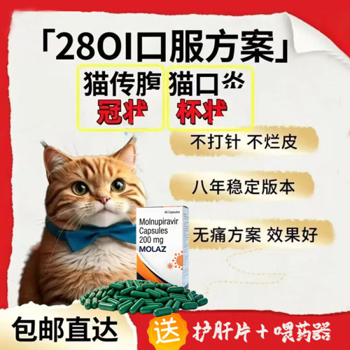 进口喵咪2801口服药猫干性湿性病毒大肚子消腹水片剂猫用绿色胶囊