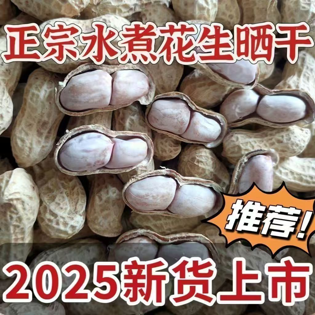 咸干燥花生晒干盐水白晒新货咸味特产即食水煮原味福清带壳零食