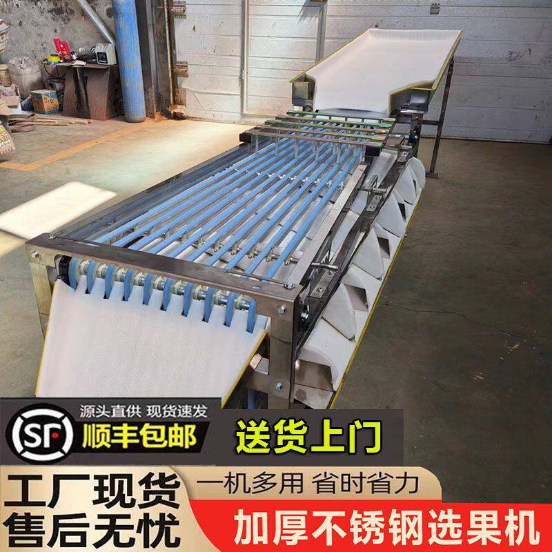 新款李子选果机商用槟榔筛选机圣女果百香果冬枣分级机金桔分拣机