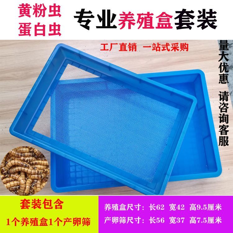 黄粉虫产卵筛面包虫养殖盒产卵筛网大麦虫活体产卵筛虫粪筛繁殖箱