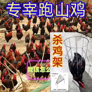 杀鸡架、鸭、鹅神器、轻便耐用 家庭 饭堂 餐馆杀鸡鸭鹅架子