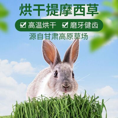 [兔粮烘干提摩西龙猫荷兰猪兔粮主食多杆子少]