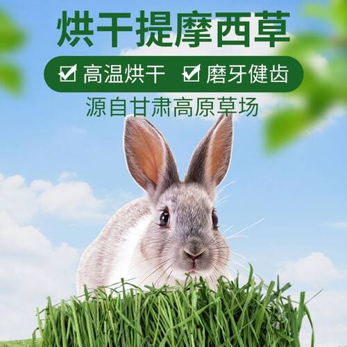 兔粮烘干提摩西龙猫荷兰猪兔粮主食多杆子少