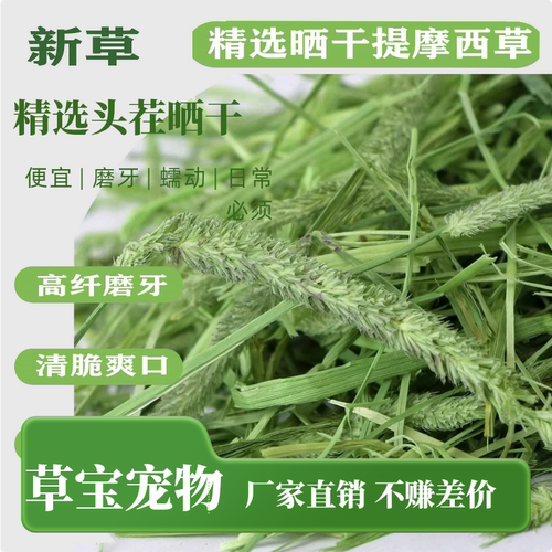 兔草晒干兔草北提豚鼠荷兰猪